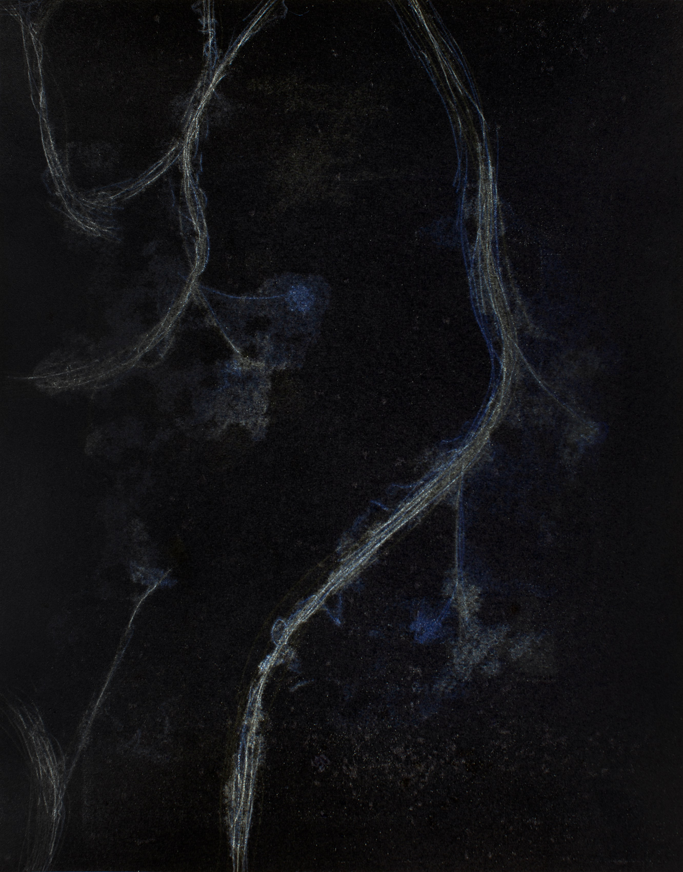 9-_RHIZOME-_--Estampe-_-Monotype-_Pascal-Demeester