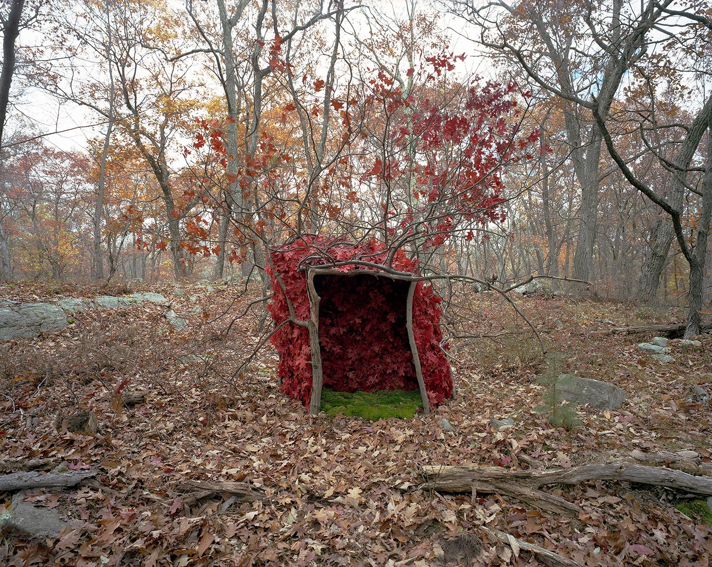  "Shelter NPC108h"