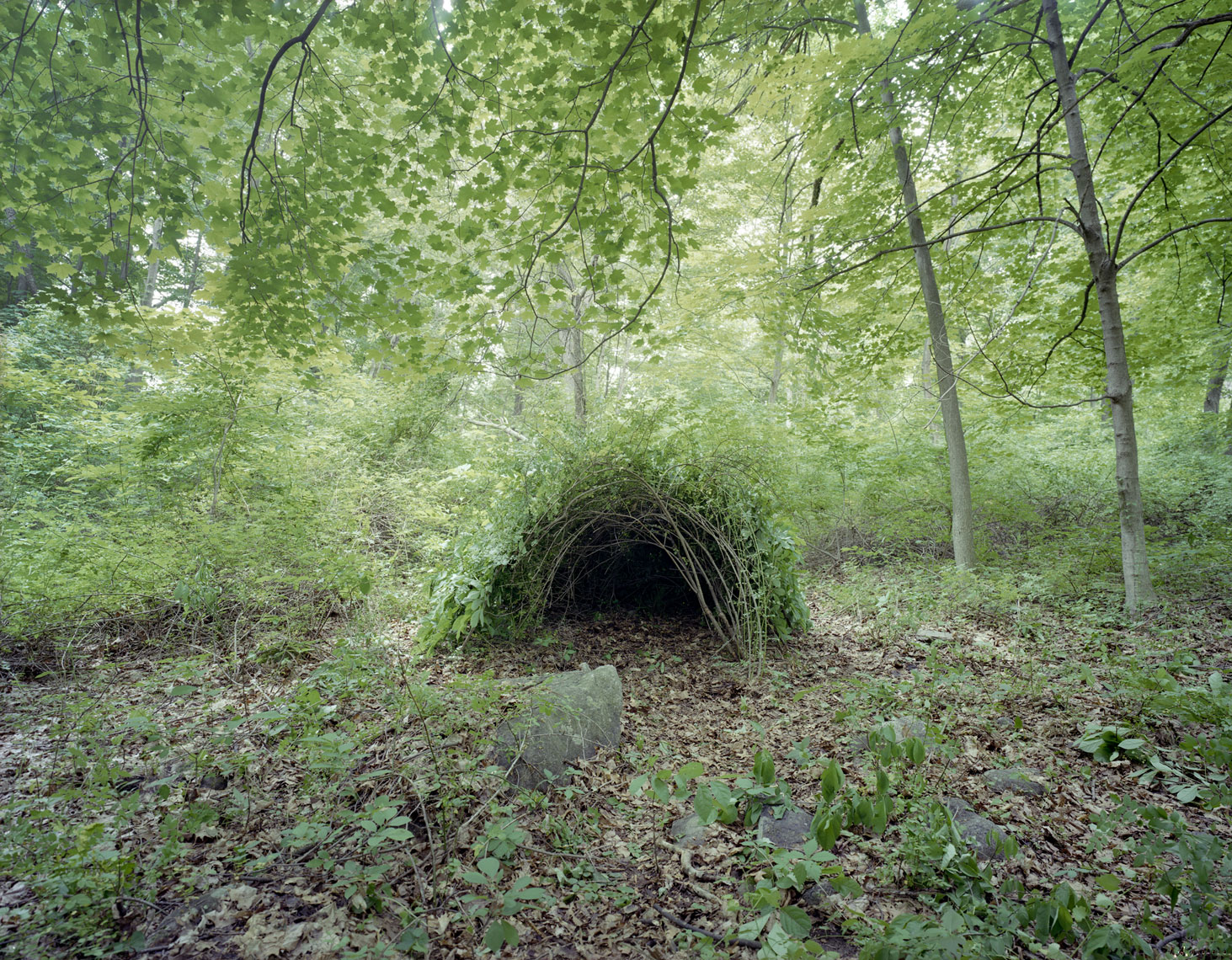 "Shelter NPC95a" ©Pascal Demeester